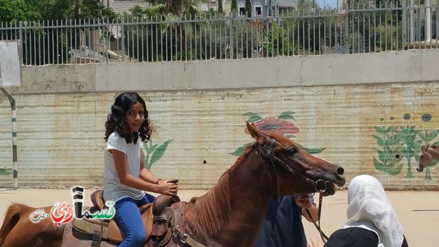 كفرقاسم - فيديو  : تعليم هواية ركوب الخيل في مدرسة جنة ابن رشد في اليوم الرابع لصيف الصادقة 